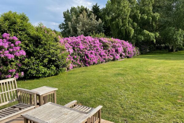 Mousterlin_mai 2022_3